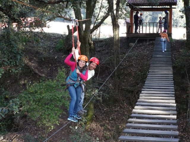 diversion en bosque esmeralda